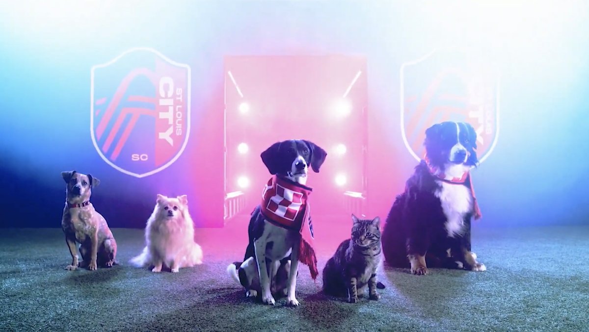 St. Louis City SC da MLS lança a primeira seção permanente dog friendly em um estádio da Liga